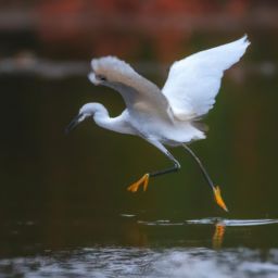 美容護膚正確步驟：打造健康年輕的肌膚