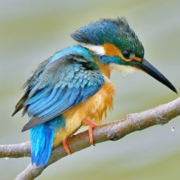 剛懷孕可以做美容護(hù)膚嗎？會(huì)有影響嗎？