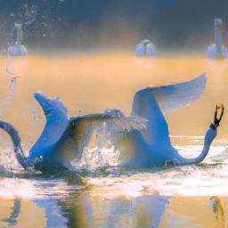 <strong>美容</strong>護膚屬于什么類目及<strong>美容</strong>護膚屬于什么類目行業(yè)