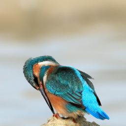 如何選擇適合自己的美容護(hù)膚產(chǎn)品？- 美容護(hù)膚選哪個好用？