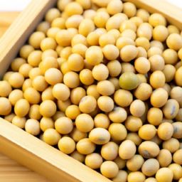 黃豆美容護(hù)膚的功效與作用：拯救你的肌膚