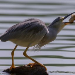 美容護(hù)膚是否必要？美麗與健康的秘訣揭曉！