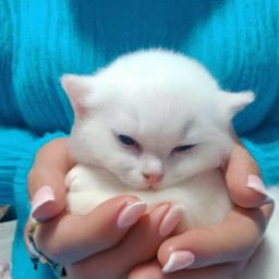 備孕期間可以進(jìn)行美容護(hù)膚嗎？如何安全進(jìn)行美容護(hù)膚？